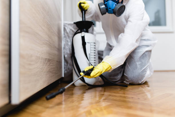 Best Pest Prevention Services  in Mayville, MI