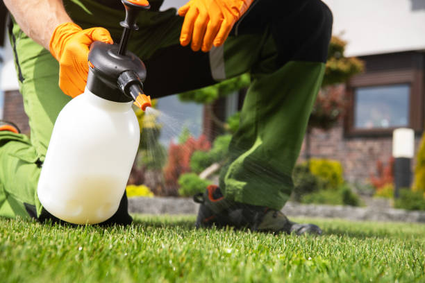 Best Exterminator Services  in Mayville, MI