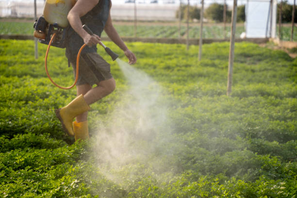 Best Exterminator Services  in Mayville, MI