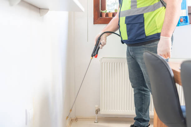 Best Pest Inspection Near Me  in Mayville, MI