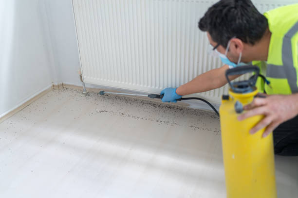 Best Residential Pest Control  in Mayville, MI