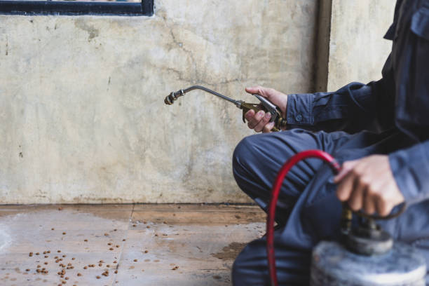 Best Pest Control for Homes  in Mayville, MI